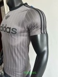 2025 AD Casual Grey Player Version Training shirts *三叶草