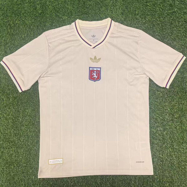24-25 Lyon Beige Anniversary Edition Fans Soccer Jersey