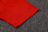 25-26 PSG Red Polo Tracksuit #C1160