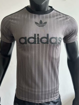 2025 AD Casual Grey Player Version Training shirts *三叶草