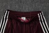 25-26 Ajax Jujube red Training Short Suit #D2528