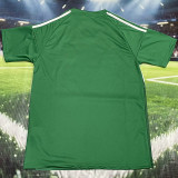 25-26 Newcastle Green Special Edition Fans Soccer Jersey