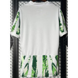 25-26 Nigeria Home Fans Soccer Jersey