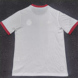 25-26 Benfica White Anniversary Edition Training shirts