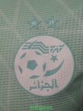 25-26 Algeria Light green Player Version Training shirts (白标)