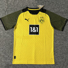 25-26 Dortmund Yellow Training shirts