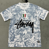24-25 Italy Grey White Special Edition Fans Soccer Jersey (Print Personalized AD)