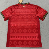 25-26 Brazil Red Special Edition Training shirts (Print Personalized AD) (圆领)