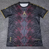 2025 PSG Grey Red Champion Training shirts