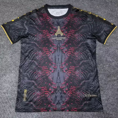 2025 PSG Grey Red Champion Training shirts
