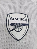 25-26 ARS Grey Player Version Training Shirts