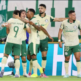 25-26 Palmeiras Third Fans Soccer Jersey (前广告)