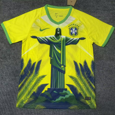 25-26 Brazil Yellow Special Edition Training shirts (绿袖口)