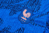 25-26 France Fancy blue Training Short Suit #D25137