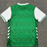 25-26 Saint Etienne Home Fans Soccer Jersey