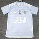24-25 Algeria Grey Special Edition Fans Training shirts