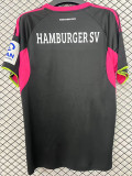 25-26 Hamburg SV Third Fans Soccer Jersey