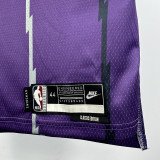 25-26 Raptors CARTER #15 Purple Retro Top Quality Hot Pressing NBA Jersey