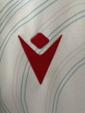 2026 Wales Away White Rugby Jersey (圆领)