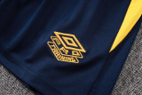 25-26 Santos FC Royal blue Tank top and shorts suit #D25184