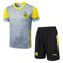 25-26 Dortmund Light gray Training Short Suit #D25212