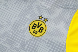 25-26 Dortmund Light gray Training Short Suit #D25212