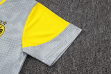 25-26 Dortmund Light gray Training Short Suit #D25212
