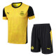 25-26 Dortmund Yellow Training Short Suit #D25211