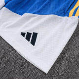 25-26 AD Fancy blue Player Version Training Short Suit (球员短套装)#D2505
