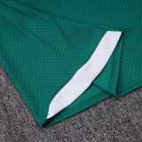 25-26 AD Green Player Version Training Short Suit (球员短套装)#D2506