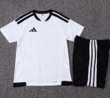 25-26 AD White Player Version Training Short Suit (球员短套装)#D2506