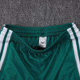 25-26 AD Green Player Version Training Short Suit (球员短套装)#D2506