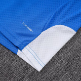 25-26 AD Fancy blue Player Version Training Short Suit (球员短套装)#D2505