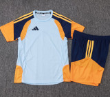 25-26 AD Light gray Player Version Training Short Suit (球员短套装)#D2505