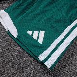 25-26 AD Green Player Version Training Short Suit (球员短套装)#D2506