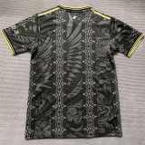 25-26 Argentina Black Gold Special Edition Training shirts