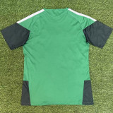 26-27 Algeria Green Fans Training shirts (红格)