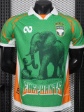 25-26 Ivory Coast Green Special Edition Player Version Soccer Jersey