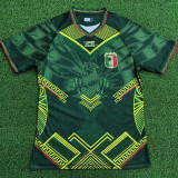26-27 Mali Away Player Version Soccer Jersey (鹰图)