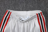 25-26 Flamengo Light gray Half Pull Tracksuit #B25129(半拉链)