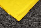 25-26 Brazil Yellow Half Pull Tracksuit #B25134(半拉链)