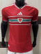 26-27 Wales Home Player Version Soccer Jersey
