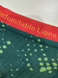 26-27 Cameroon Home Player Version Soccer Jersey