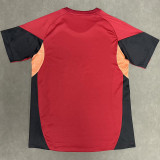 25-26 LIV Red Fans Training shirts