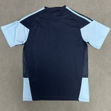 26-27 Argentina Royal Blue Training shirts