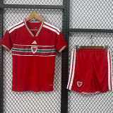 26-27 Wales Home Kids Soccer Jersey