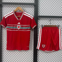 26-27 Wales Home Kids Soccer Jersey