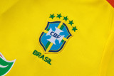 25-26 Brazil Yellow Training Short Suit #D25254