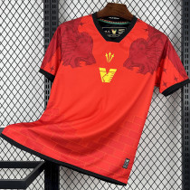 25-26 Venezia FC Third Fans Soccer Jersey