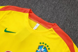 25-26 Brazil Yellow Training Short Suit #D25254